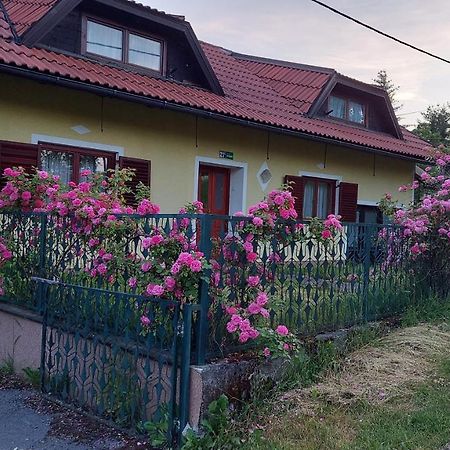 Kuca Za Odmor ,Erdelj 21 B Daire Generalski Stol Dış mekan fotoğraf