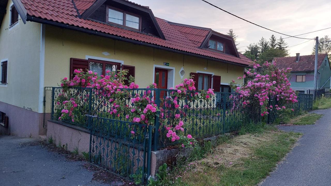 Kuca Za Odmor ,Erdelj 21 B Daire Generalski Stol Dış mekan fotoğraf