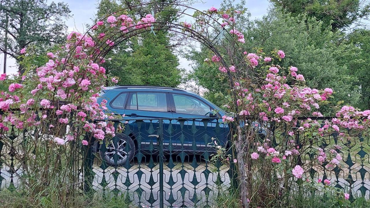 Kuca Za Odmor ,Erdelj 21 B Daire Generalski Stol Dış mekan fotoğraf