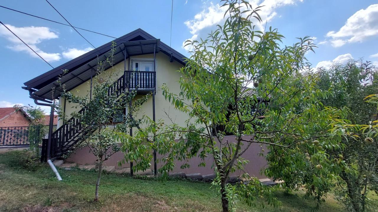 Kuca Za Odmor ,Erdelj 21 B Daire Generalski Stol Dış mekan fotoğraf
