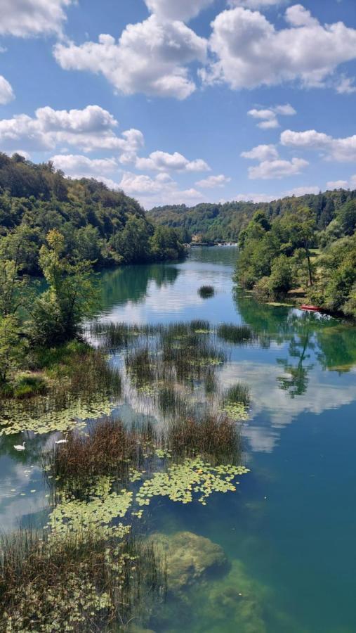 Kuca Za Odmor ,Erdelj 21 B Daire Generalski Stol Dış mekan fotoğraf