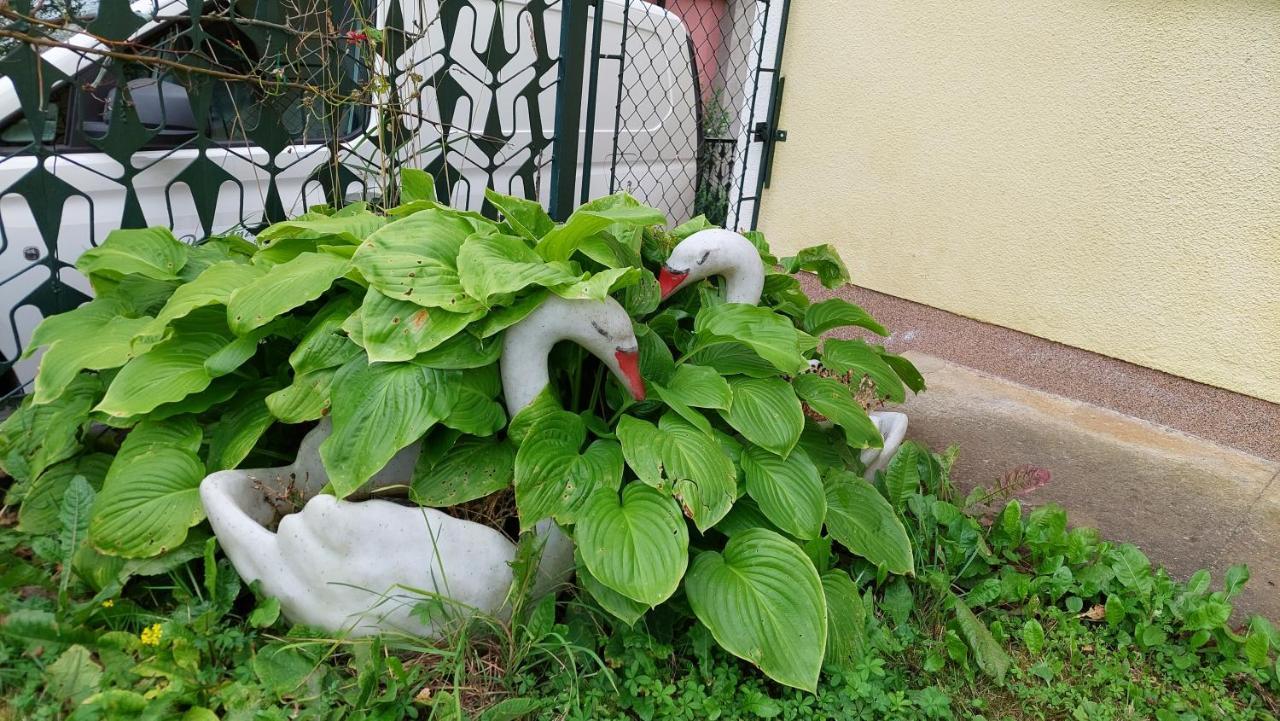 Kuca Za Odmor ,Erdelj 21 B Daire Generalski Stol Dış mekan fotoğraf