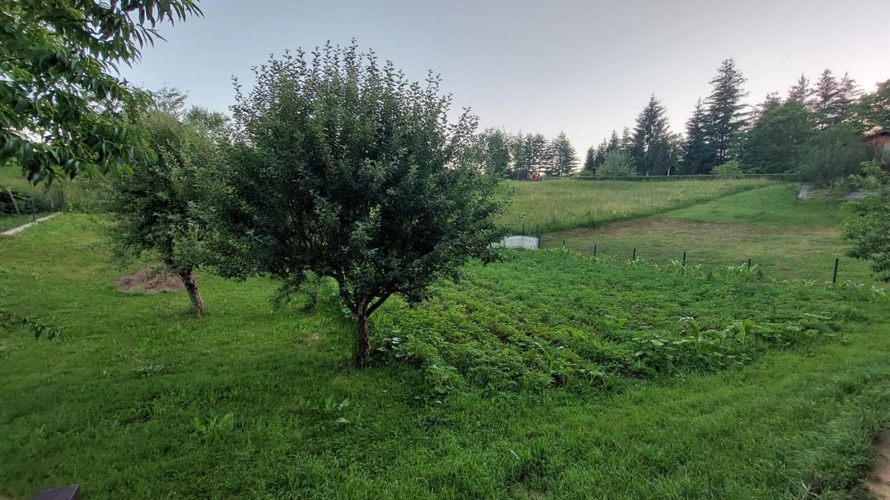 Kuca Za Odmor ,Erdelj 21 B Daire Generalski Stol Dış mekan fotoğraf