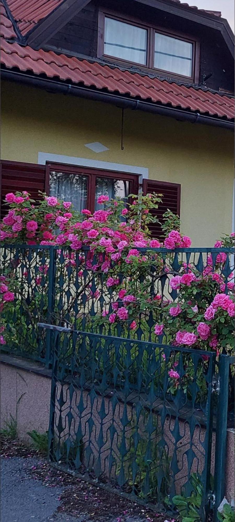 Kuca Za Odmor ,Erdelj 21 B Daire Generalski Stol Dış mekan fotoğraf
